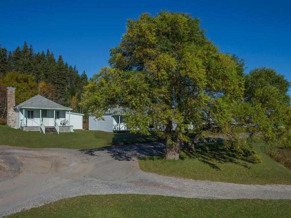 Au Pic De L'Aurore Motel-Chalets Percé Exterior foto